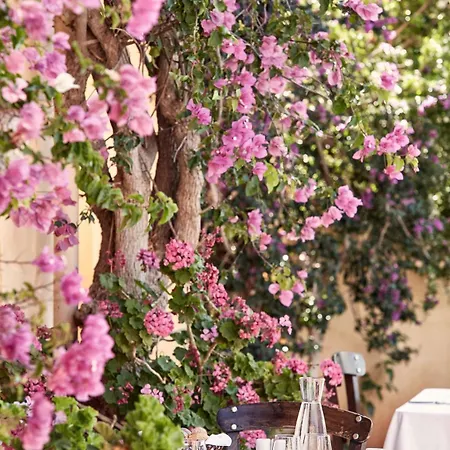 Hotel Candia Park Village 4*